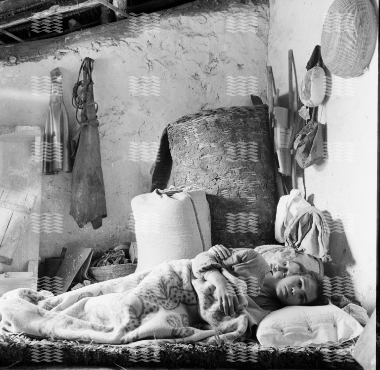 Ilisso Edizioni Carlo Bavagnoli Category Bavagnoli